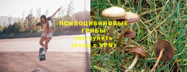 дурь Бородино